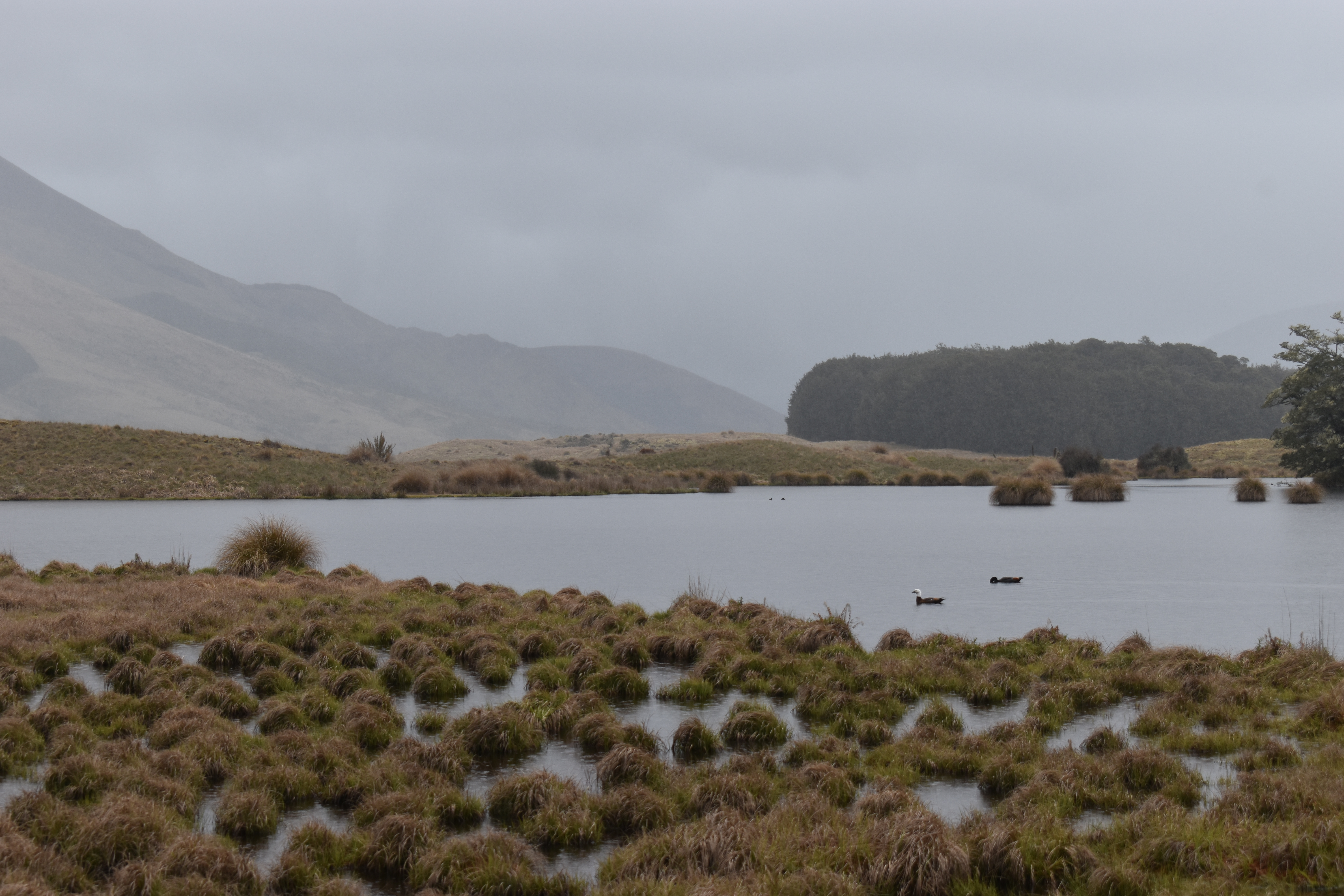 New Zealand travel photos