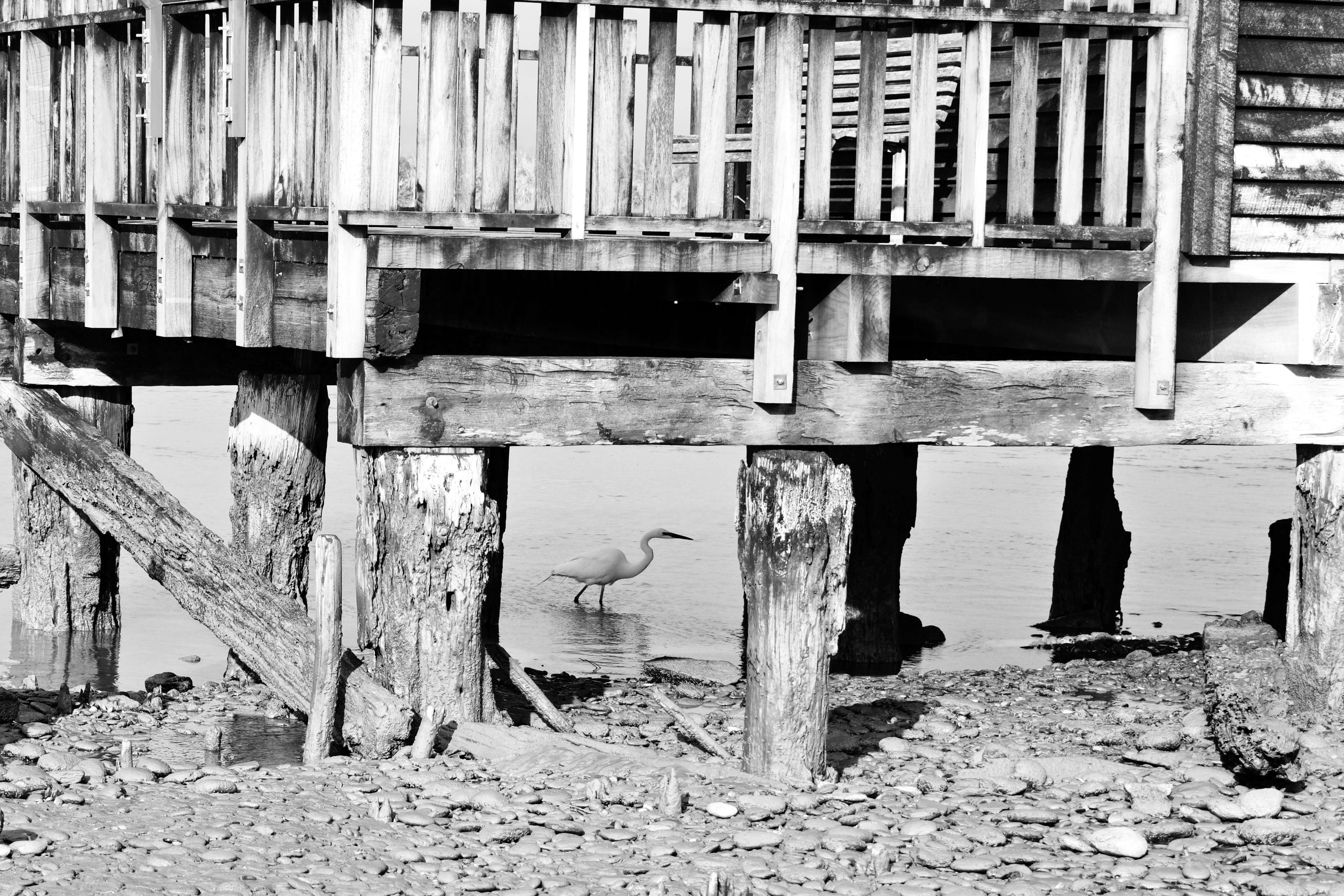 New Zealand travel photos