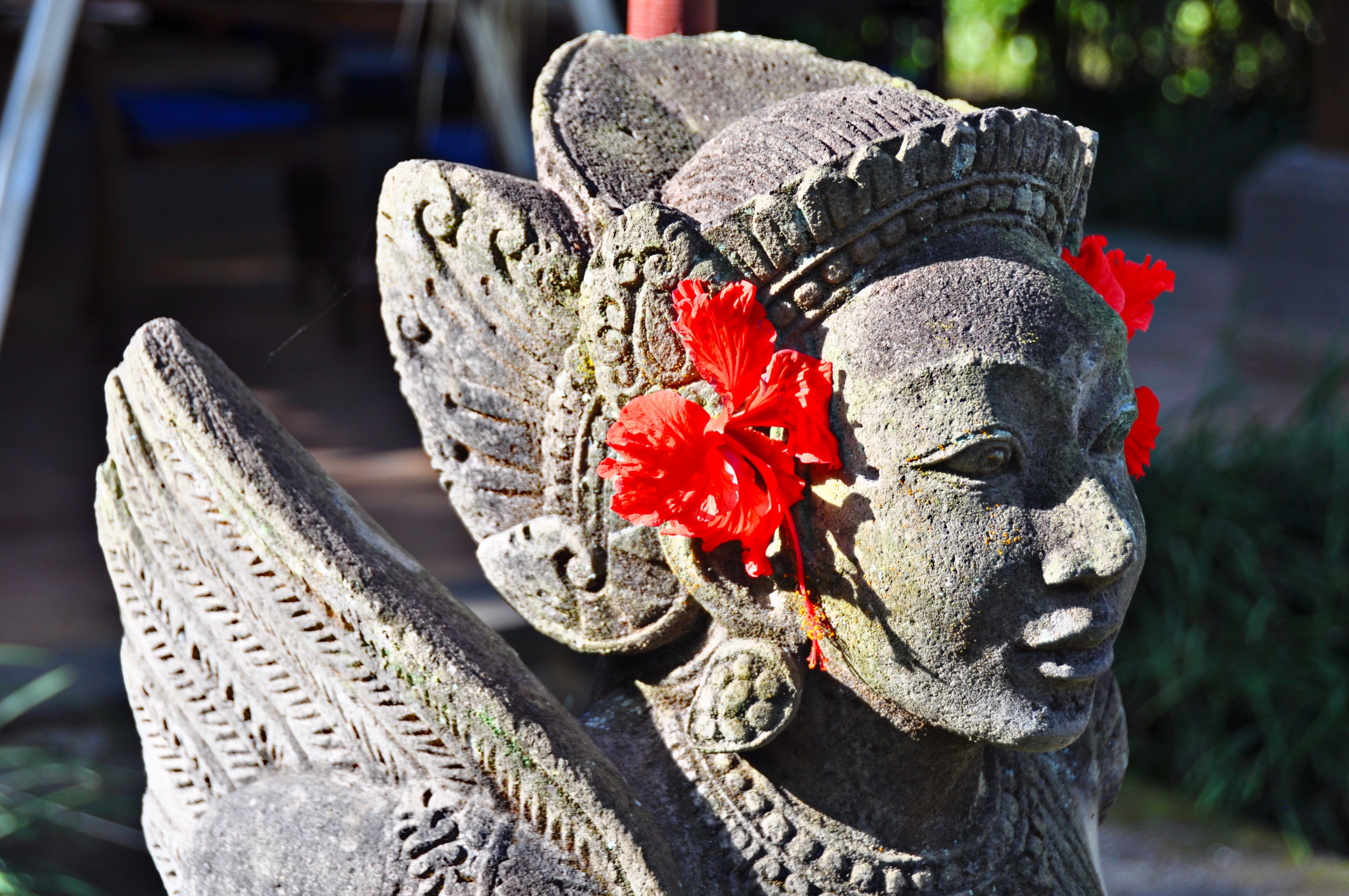 A flamboyant flower used as decoration